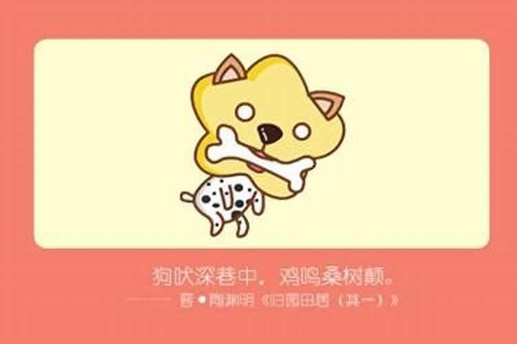 鸡狗八字有合的吗金鸡玉犬破解之法