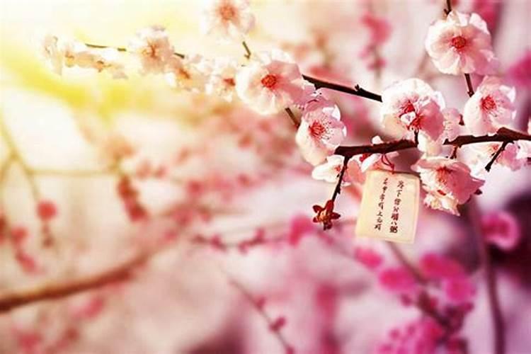 算命桃花是什么意思,桃花运太旺了该怎么化解