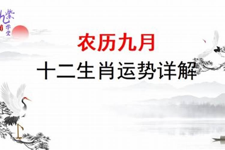 梦见去世母亲死而复生
