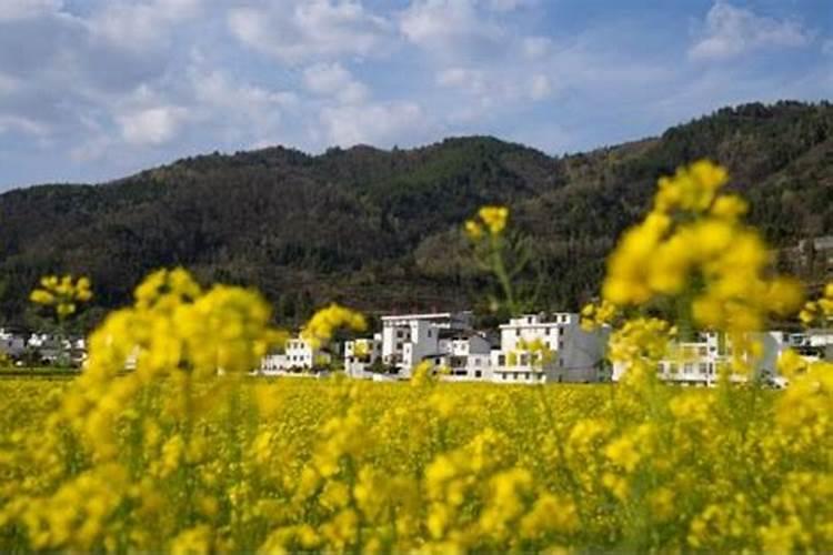 安徽滁州最冷的天气是多少度？