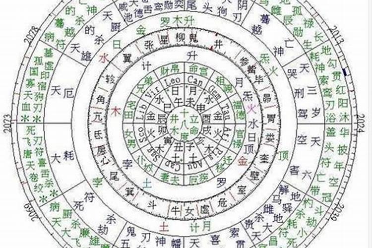 梦见蟒蛇报复咬我但未咬到