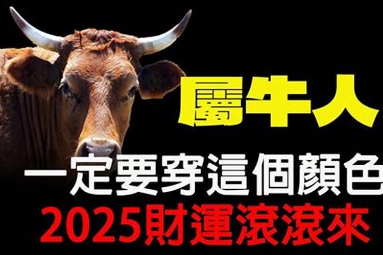 属牛清明节出生的男孩好吗八字与名字分析