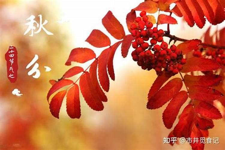 76年属龙男2025年运势及运程每月运程