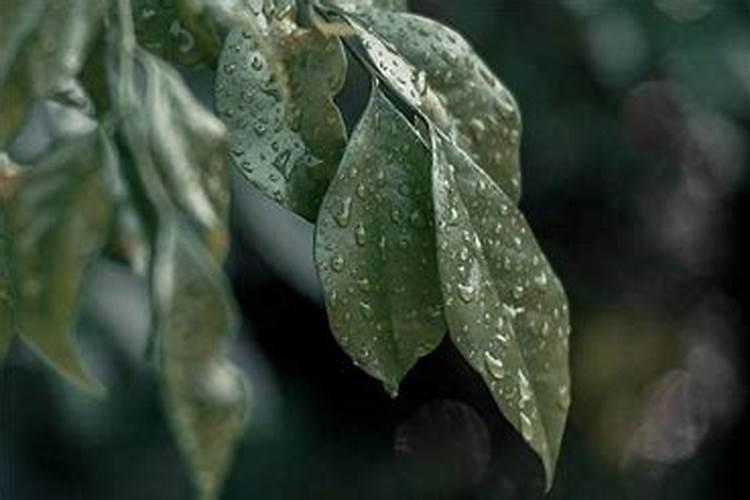 清明节西安周边游玩景点推荐