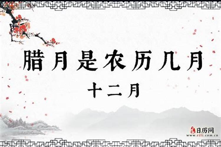 六八年猴运气