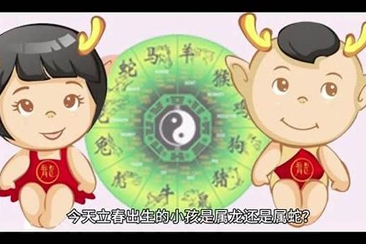 生肖羊1991年2025年运势如何 生肖羊1991年2025年全年运势