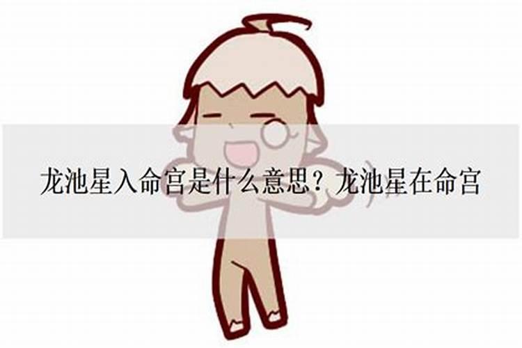 如何看懂紫微命盘 怎样看懂紫微命盘？