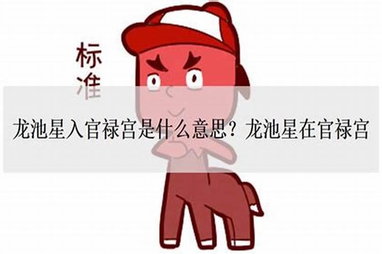 年月日哪个属相最重要,出生年月日时分重要还是名字重要