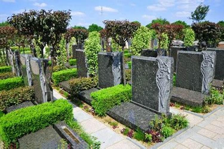 给老人买墓地选双号还是单号