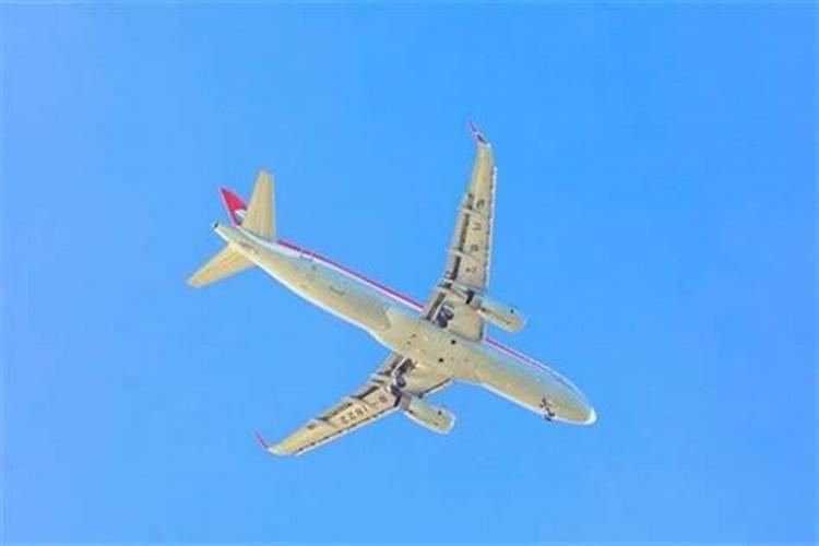 梦到坐飞机去旅游是什么意思？