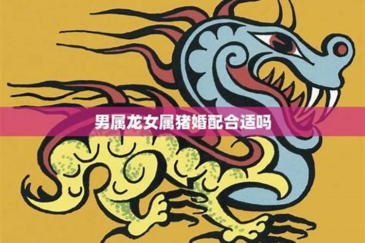 属龙男人和属猪女人相配吗