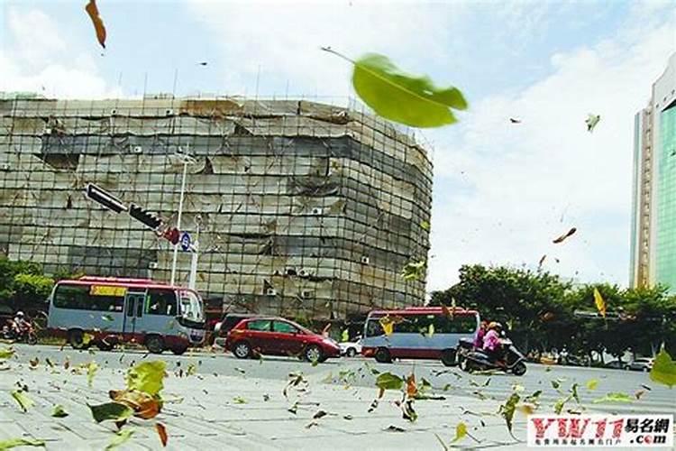 属鼠的人2025年运势及运程每月运势如何