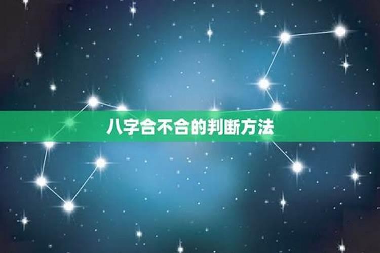 生肖羊1955年2025年运势如何 生肖羊1955年2025年全年运势