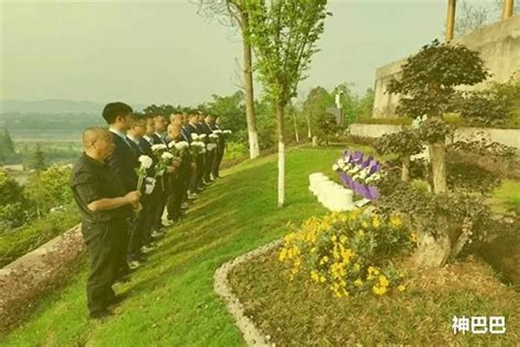 76年龙女后半生命运 76属龙女人婚姻命运