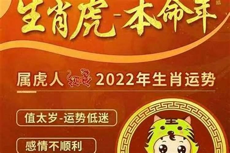 《清明节扫墓》的过程作文