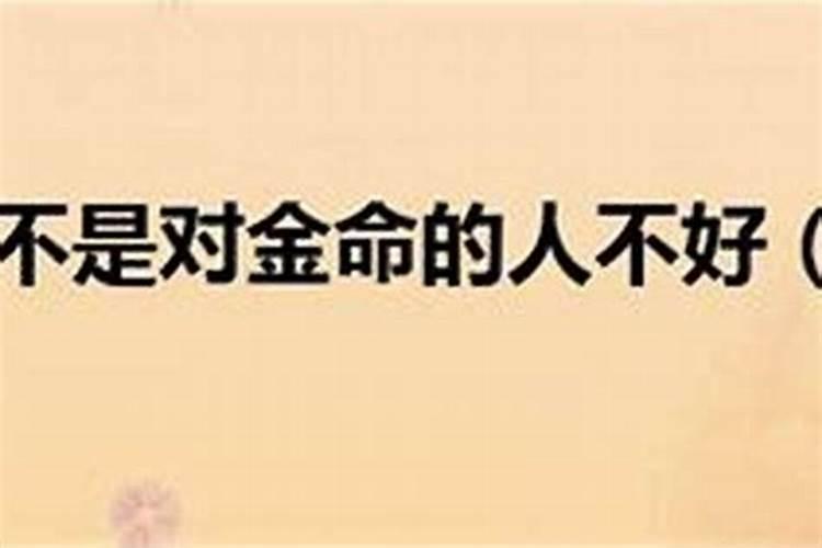 属马和属马的婚姻怎么样两个属马的结婚合适吗