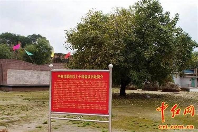 95年属猪什么星座,1995属猪的命运与婚姻