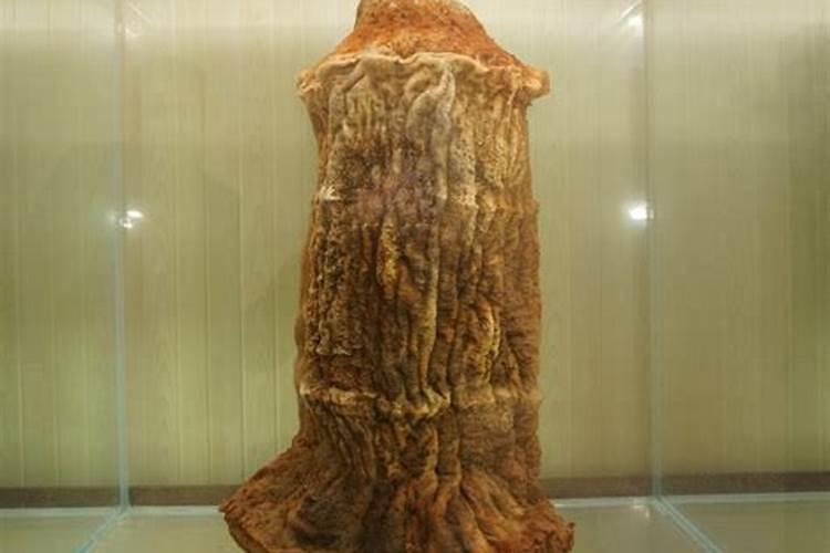 梦到孕妇是什么预兆