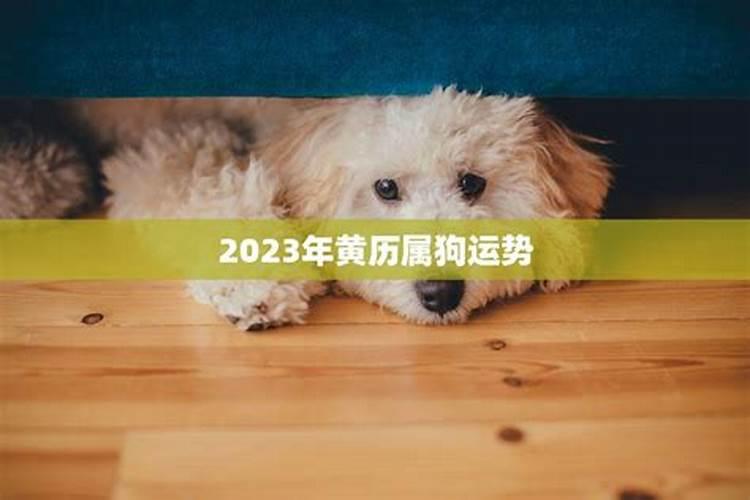 婚姻不顺怎么办？财运也不好怎么办