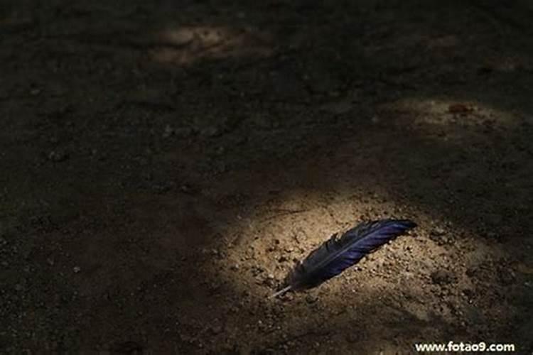 梦见床上到处是女人经血