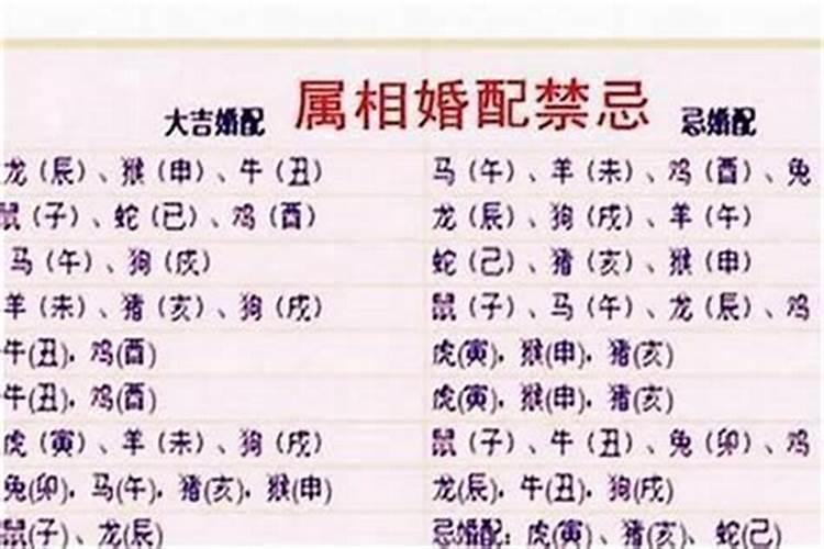 男蛇女虎配吗