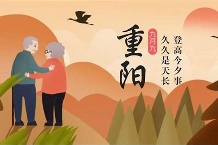 1995年属猪男士(30岁)2025年运势深度分析,逐月指导你如何规划