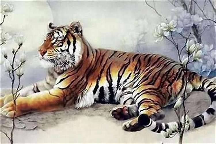 梦见了蟒蛇吞人的预兆
