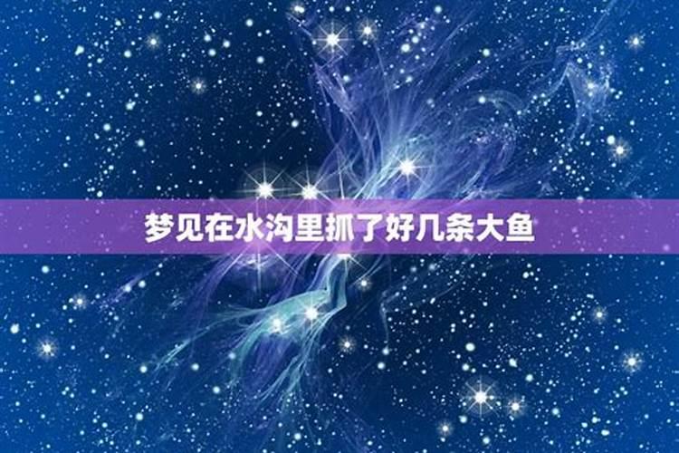 为什么微博上的福娃邓鸣鹤离开了大家说是童子命,难道聪明