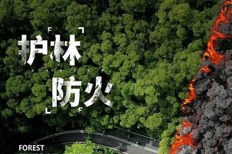 女人梦见别人建新房子预兆什么