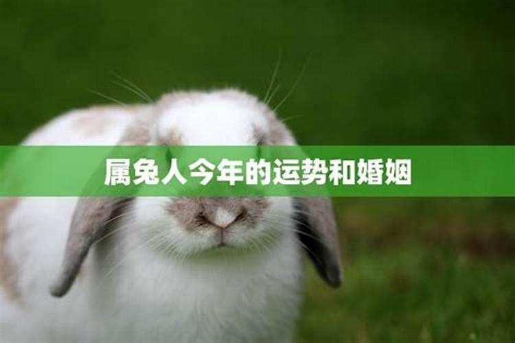 刘姓女孩,今年1月13日生,属兔,五行缺土,急求助好听名字!!!