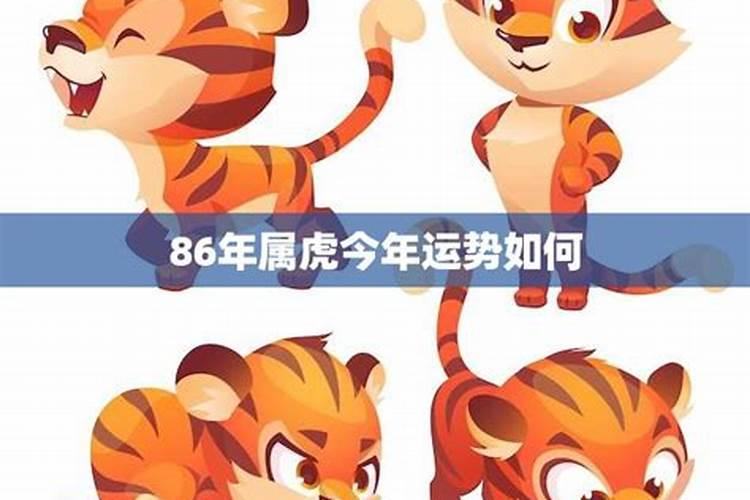 15位的身份证号码能看出出生日期吗？怎么看？