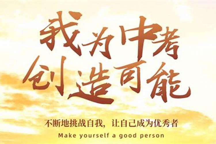 给中考中的小孩应该送什么花,象征考试顺利通过的花
