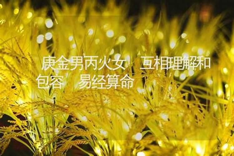 属猪人最好命月份 四月出生非常有福气贵气？