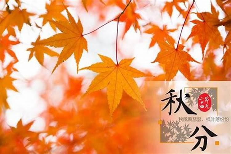 秋分节气民间习俗知多少