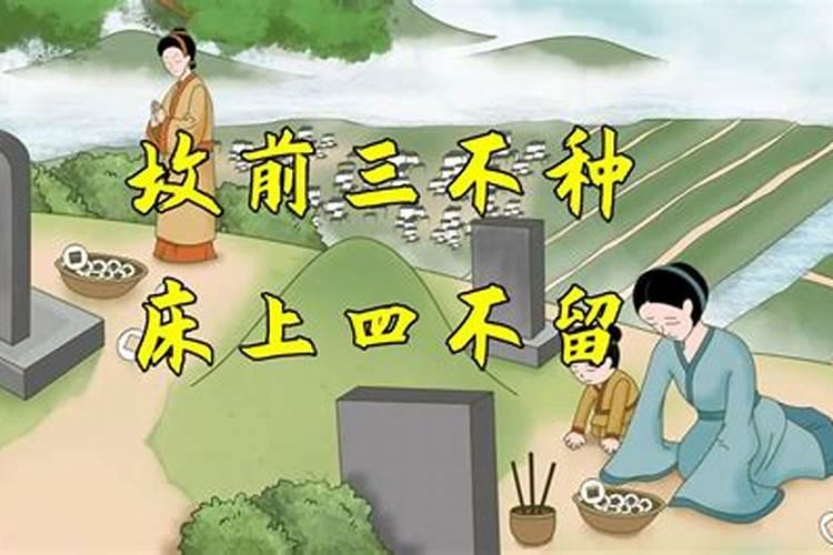 八月十五有什么地方(八月十五有什么地方要祭祖)