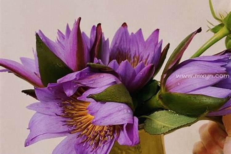 8月15日是中秋节吗