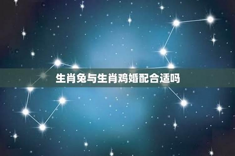 为什么说属相鸡和兔的缘分最浅,怎样化解属兔和属鸡的姻缘不配