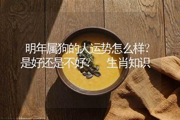 犯太岁要注意什么事项