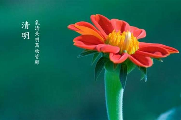 2025犯太岁的4大生肖有哪些