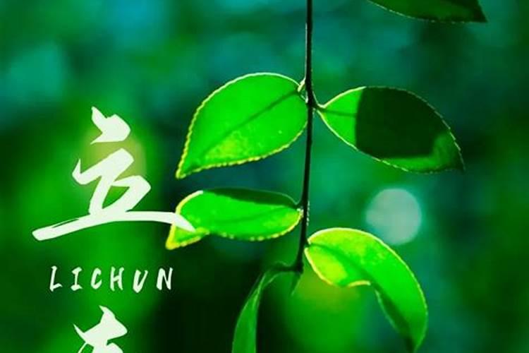 六二年虎一九年的情况
