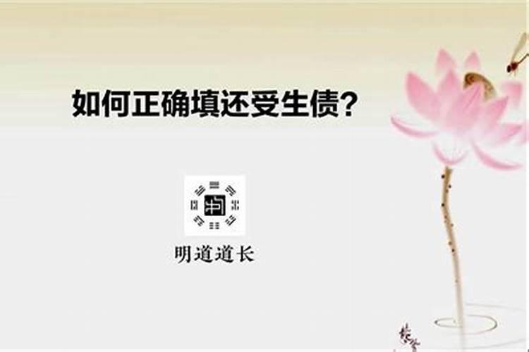 男猪女羊的婚姻怎么样