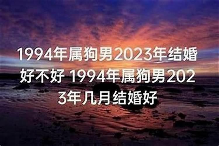 1994年属狗男2025年的运势和婚姻