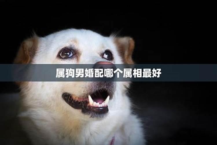 根据生辰八字算结婚黄道吉日,按生辰八字算结婚日子