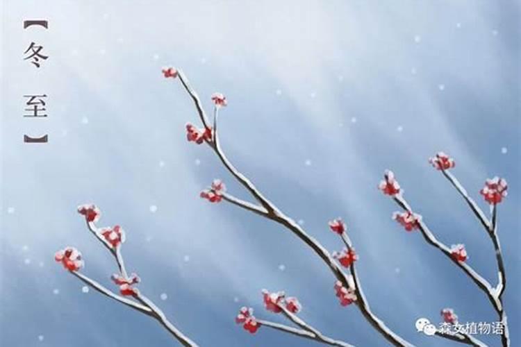 冬至为什么要烧纸
