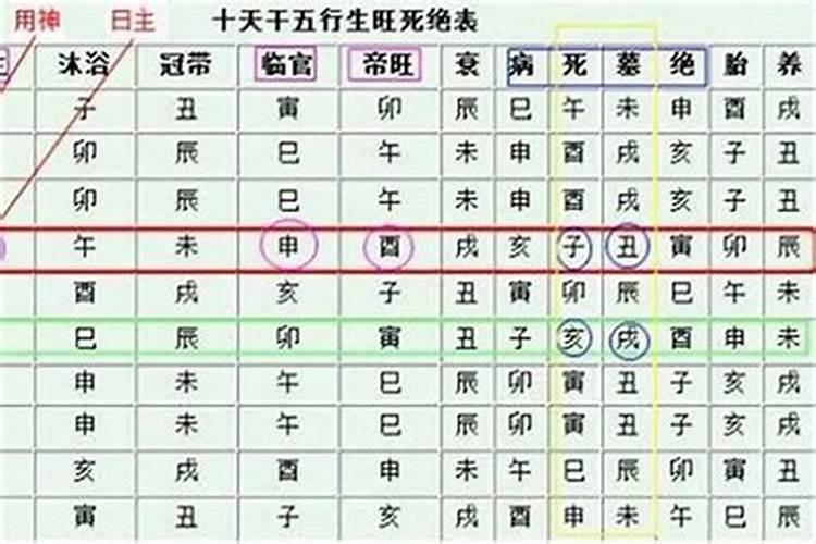 2025蛇年本命年的运势