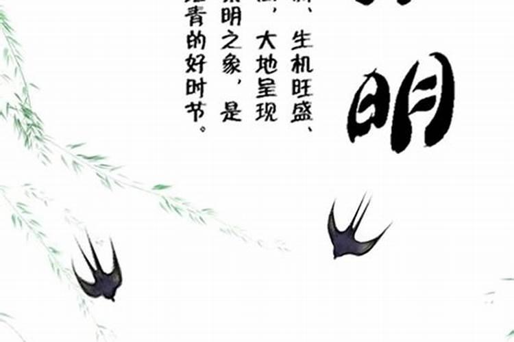 农历清明节前的四个节气依次是？