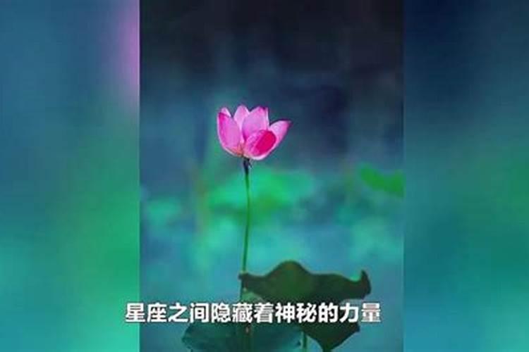 最让男人痴迷想得到的星座女