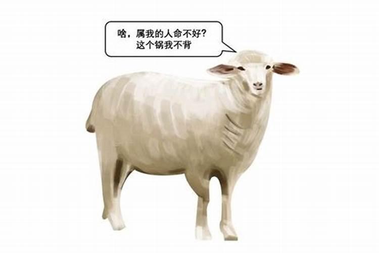 腊月属羊女好吗？