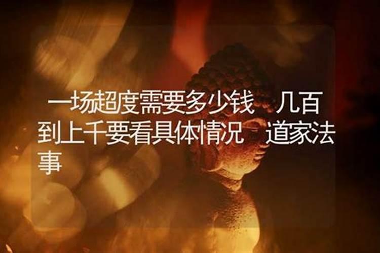 狗和蛇属相合不合