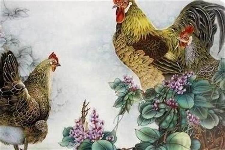 属鸡人一生运势